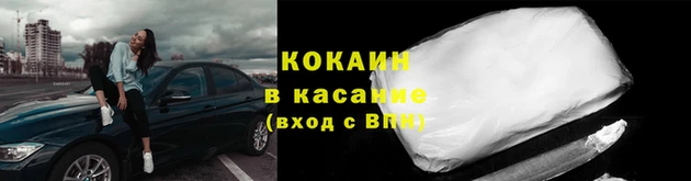 крисы Наволоки