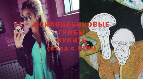 Альфа ПВП Надым