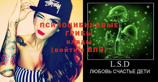 крисы Наволоки