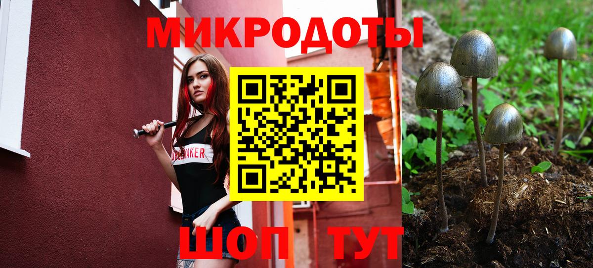 Псилоцибиновые грибы Psilocybine cubensis  Вход с VPN  Янаул  Псилоцибиновые грибы Cubensis 