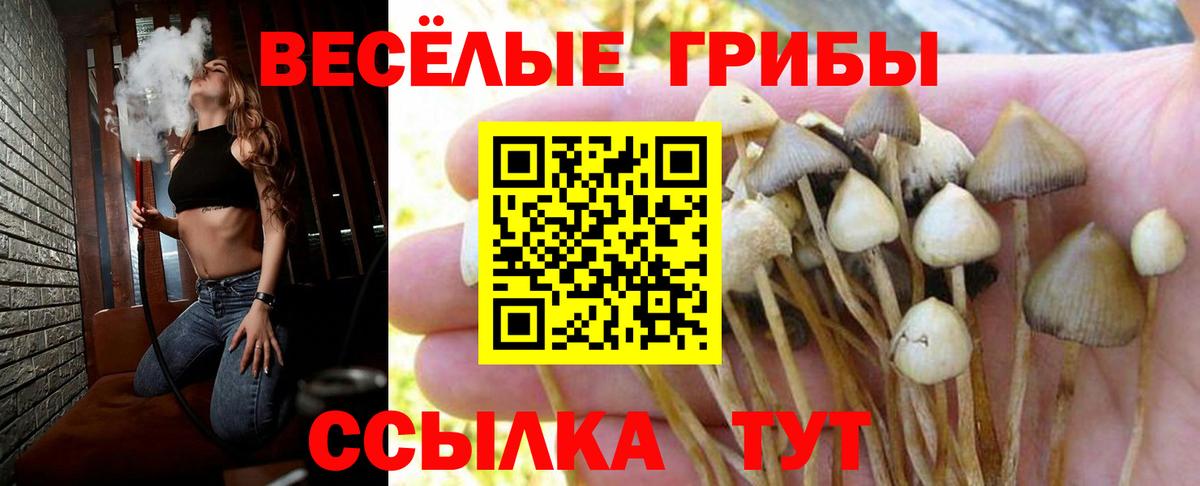 Галлюциногенные грибы Magic Shrooms Янаул