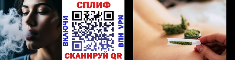 дарнет шоп  Янаул  Конопля сатива 
